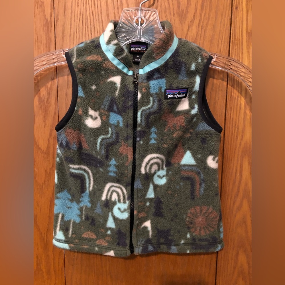 3T Patagonia, fleece vest